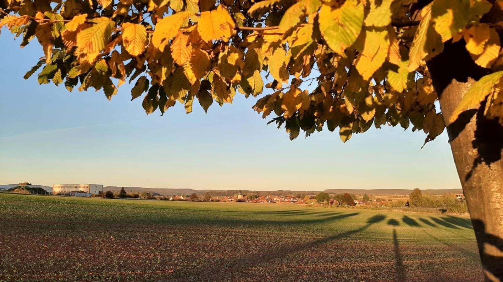 Stilvolle Ferienwohnung Im Eichsfeld Niederorschel Exterior foto