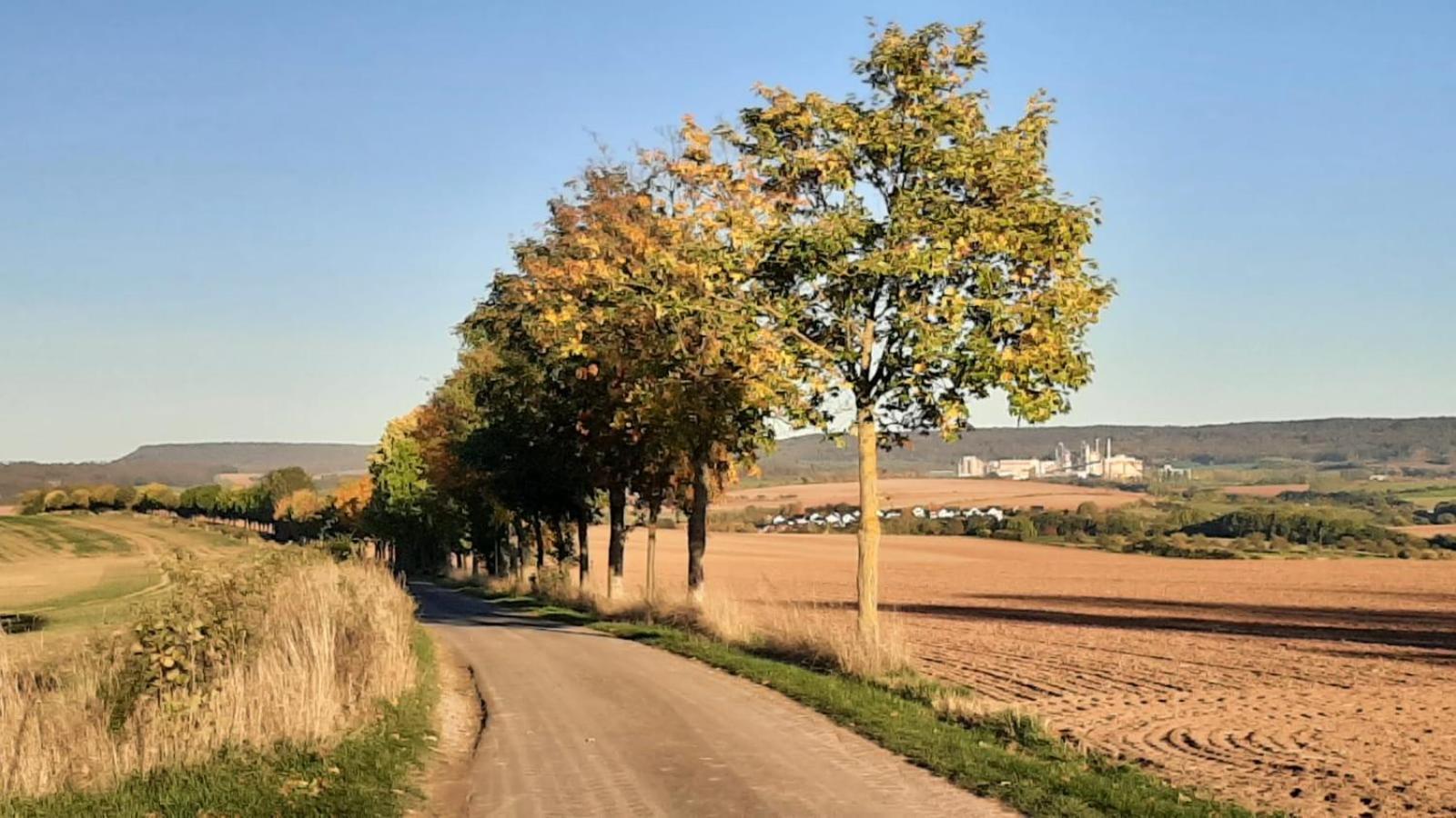Stilvolle Ferienwohnung Im Eichsfeld Niederorschel Exterior foto